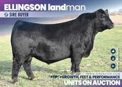 Ellingson Landman - 30 units