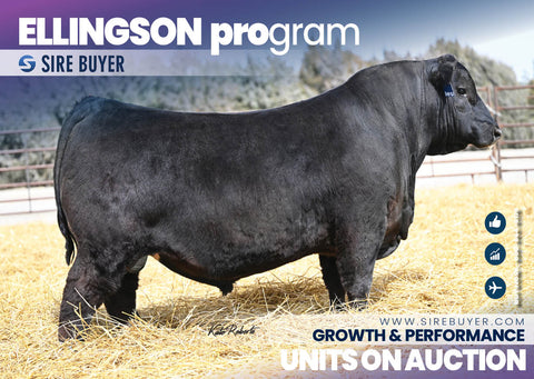 Ellingson Program - 25 units