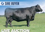 Lot 12: Executa of Conanga 939 (3 Embryos)