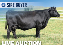 Lot 22: KR Blackcap 7383 - (3 Embryos)