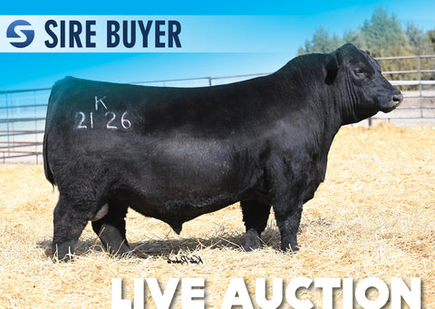 Lot 2: Ellingson Brickhouse - 30 Units – Sire Buyer