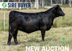 Lot 4:  SAC Emblynette 3301