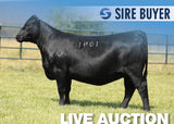 Lot 2: Montana Joanie 1041 - 5 Embryos