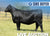 Lot 2: Montana Joanie 1041 - 5 Embryos