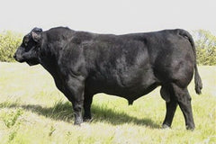 OCC Juneau 807J - 2 units