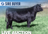 Lot 11: Rust Ms Chloe 2305K (5 Embryos)