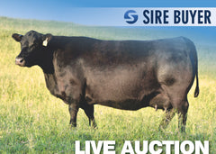 Lot 16: SAV Blackcap May 7320 - 5 Embryos