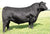 SAV Brand Name 9115 - 68 units