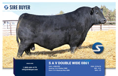 Lot 10: SAC Emblynette 7304 - 3 Embryos