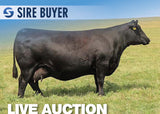 Lot 9: SAV Madame Pride 8361 - 3 Embryos