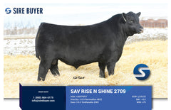 Lot 14: SAV Blackcap May 3626 - 2 Embryos