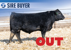 Lot 6: Stock Renown 3016