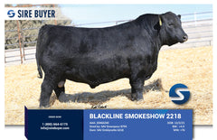Lot 10: SAV Emblynette 6218 - 3 Embryos
