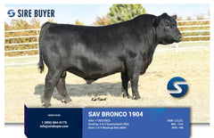 Lot 17: SAC Blackcap May 0243 - 3 Embryos