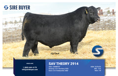 Lot 7: SAV Blackcap May 0592 - (Theory)