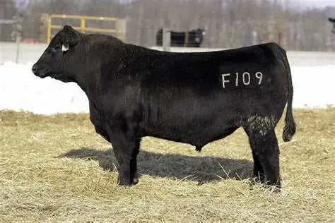 Woodhill Relevance F109 - 2 units