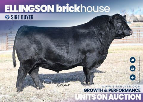 Ellingson Brickhouse - 25 units