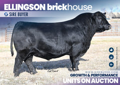 Ellingson Brickhouse - 25 units