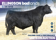 Ellingson Badlands - 25 units