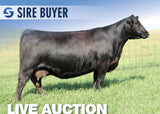 Lot 8: SAV Emblynette 7229 (2 embryos)