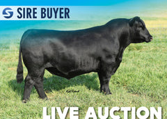 Lot 10: Baldridge Flagstone - 30 Units