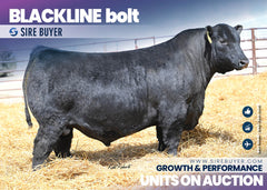 Blackline Bolt 4810 - 30 units