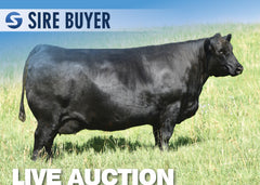 Lot 12: SAV Blackcap May 0592 - 3 Embryos