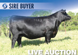 Lot 5: BCC Lucy Enh 5094-9583 - 3 Embryos