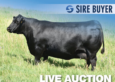 Lot 10: SAC Emblynette 7304 - 3 Embryos