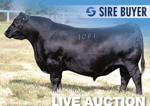 Lot 21: AVF Sara 2304 - 3 Embryos