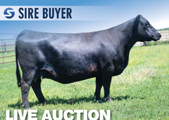 Lot 26: CCC Rachel 1711 - (3 Embryos)