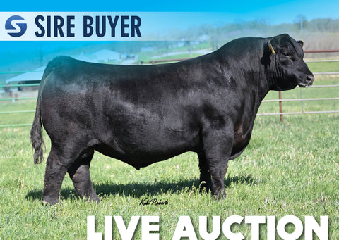 Lot 12: Deer Valley Big Jon - 30 Units