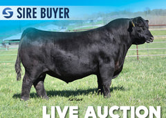 Lot 12: Deer Valley Big Jon - 30 Units