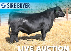 Lot 8: Ferguson Outpace - 30 Units