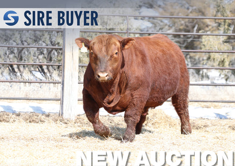 Lot 11: PIE Herdsman - 30 Units