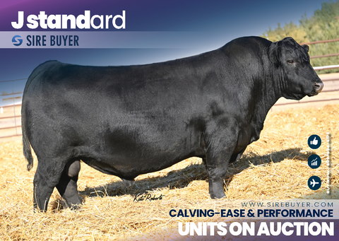 J Standard 2081 - 30 units