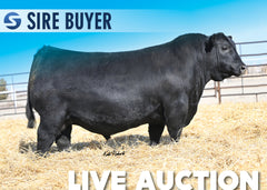 Lot 15: KLA Checkered Flag - 30 Units