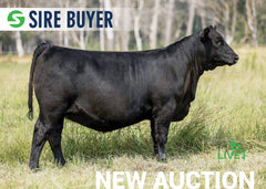 Lot 1:  SAC Pride 3200