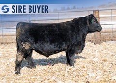 Lot 16:  Stock Double Wide 3022