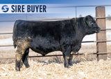 Lot 17: Stock Double Wide 3025