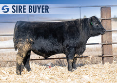 Lot 17: Stock Double Wide 3025