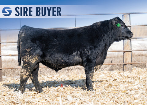Lot 18: Stock Harvestor 3036