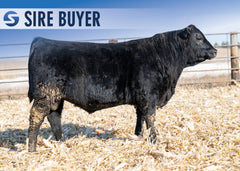 Lot 19:  Stock Harvestor 3031