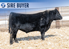 Lot 22:  Stock Mojo 601