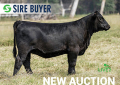 Lot 2:  SAC Madame Pride 3051