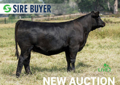 Lot 5:  SAC Blackcap May 3302