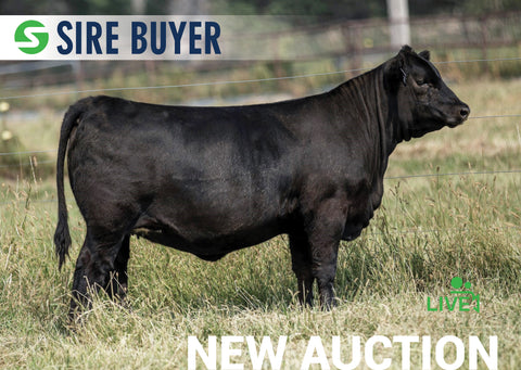 Lot 7:  SAC Elba 3402