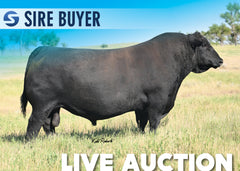 Lot 11: LT Foremost 9451 - 30 Units