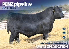 Penz Pipeline 2587 - 25 units