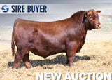 Lot 4: RED U2Q Playboy 2197K - 30 Units